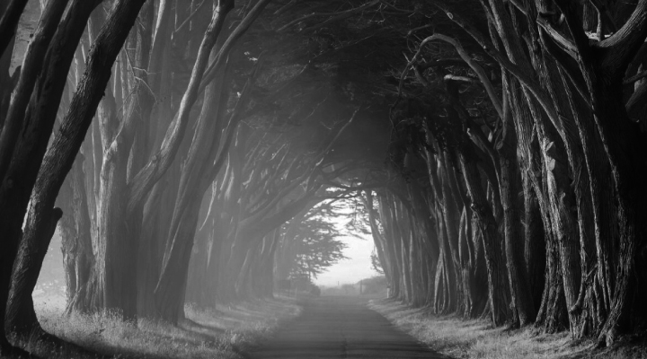 Yes, there is light at the end of the tunnel….